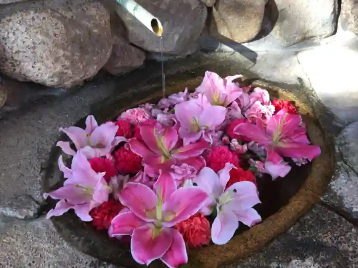 生田神社の手水舎