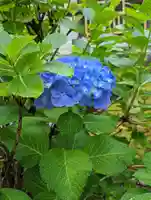 法金剛院(京都府)