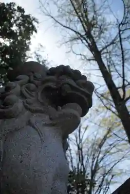 山梨縣護國神社の狛犬