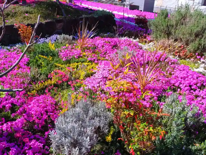 寿量山 速成寺(奈良県)