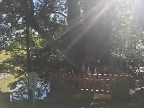 安房神社の自然