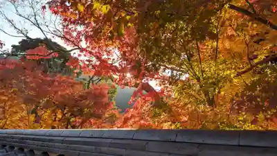 禅林寺(永観堂)(京都府)