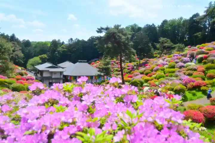 塩船観音寺(東京都)