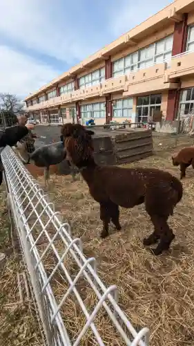 布川神社(茨城県)