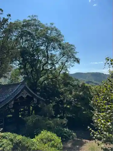崇禅寺(群馬県)