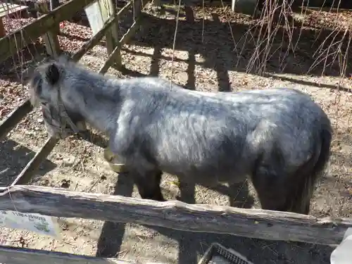 大石神社の動物
