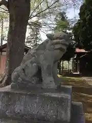 五所神社の狛犬