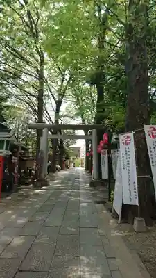 田無神社の鳥居