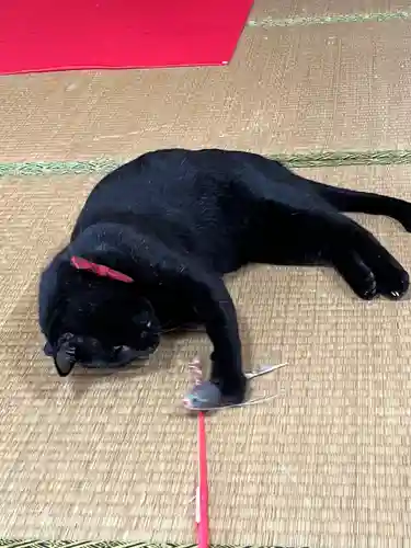 高司神社〜むすびの神の鎮まる社〜の動物