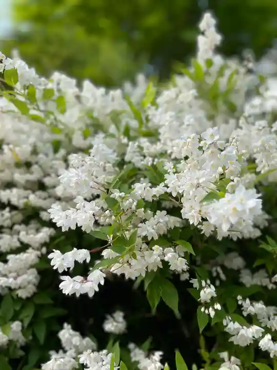 善水寺(滋賀県)