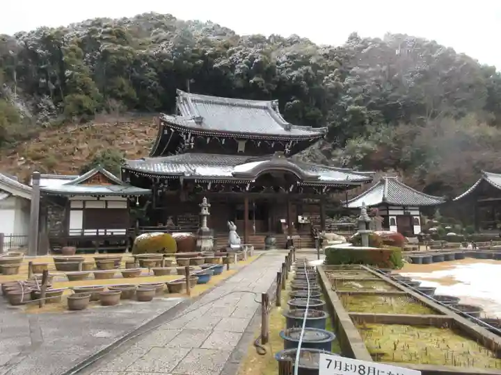 三室戸寺の本殿・本堂