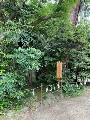 香取神宮(千葉県)