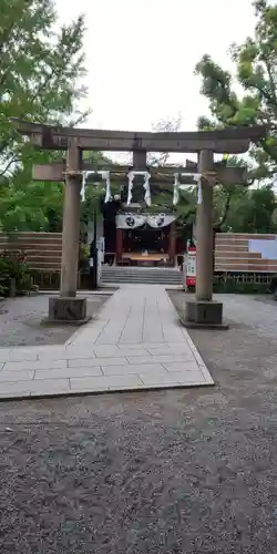 稲毛神社の鳥居