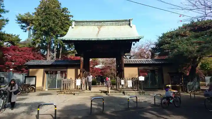 豪徳寺の山門・神門