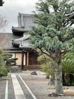 行住院(京都府)