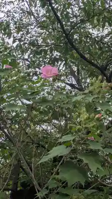 建仁寺（建仁禅寺）(京都府)