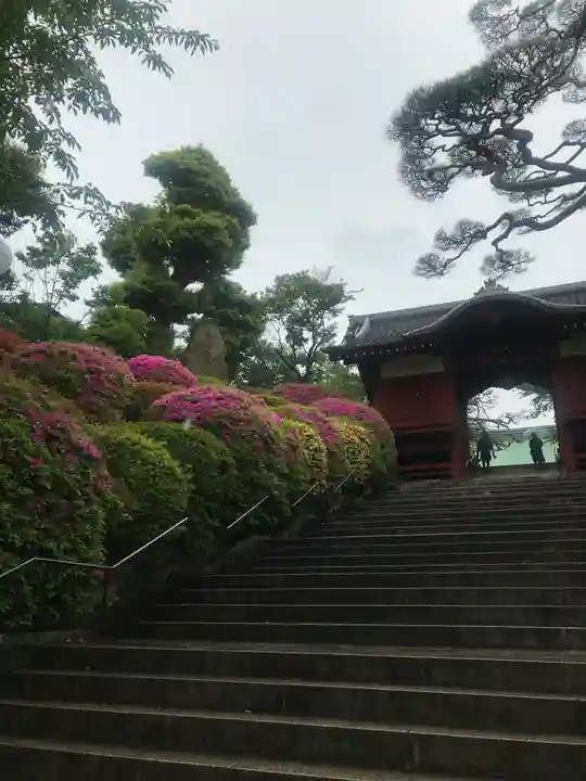 護国寺の山門・神門