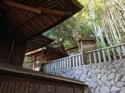 賀茂神社の本殿・本堂