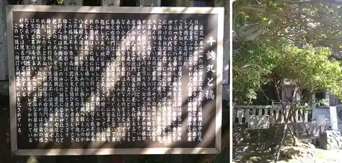 富戸三島神社(静岡県)