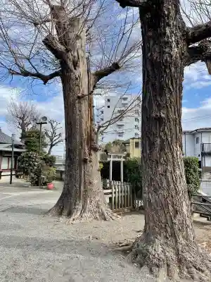 平塚神社の{uncategorized: "未分類", other: "その他", undefined: "問題あり", building: "その他建物", grave: "お墓", sacred_gate: "鳥居", guardian: "狛犬", statue: "像", buddha: "仏像", history: "歴史", nature: "自然", garden: "庭園", animal: "動物", pagoda: "塔", temizu: "手水舎", mountain_gate: "山門・神門", sanctuary: "本殿・本堂", subordinate: "末社・摂社", art: "芸術", scenery: "景色", jizo: "地蔵", ema: "絵馬", goshuin: "御朱印", omikuji: "おみくじ", items: "授与品その他", amulet: "お守り", goshuincho: "御朱印帳", eats: "食事", festival: "お祭り", votive_dance: "神楽", shichigosan: "七五三参", wedding: "結婚式", experience: "体験その他", initially: "初詣", around: "周辺", anti_infection: "感染症対策"}