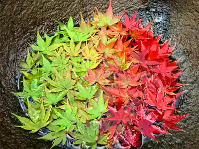 真言宗　善通寺派　薬王寺(香川県)