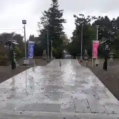 美幌神社の七五三参