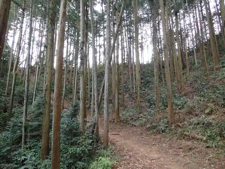 武蔵二宮 金鑚神社の自然