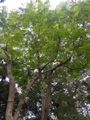 成田熊野神社(千葉県)