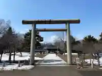 札幌護國神社の鳥居