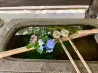 真正極楽寺(真如堂)の手水舎