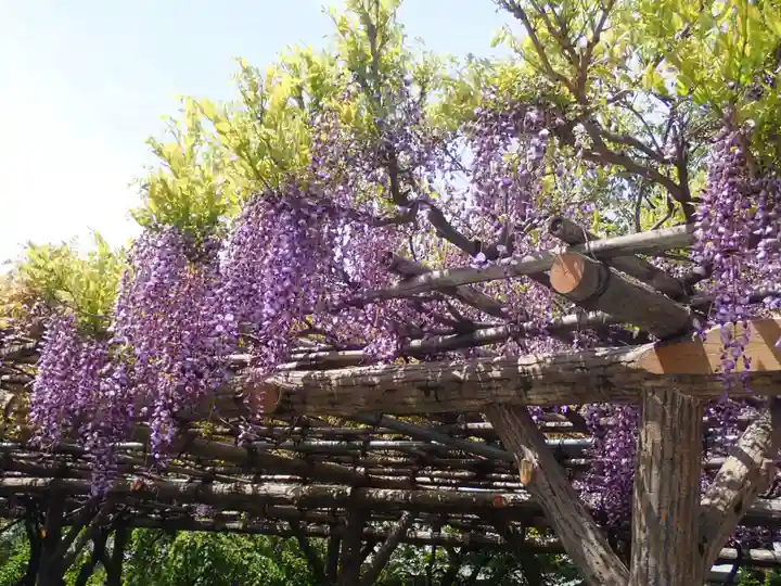 亀戸天神社(東京都)