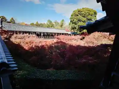 東福禅寺(東福寺)(京都府)