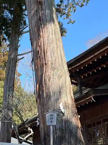 大宮八幡宮(兵庫県)