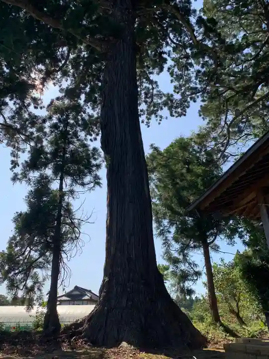妙見神社(千葉県)