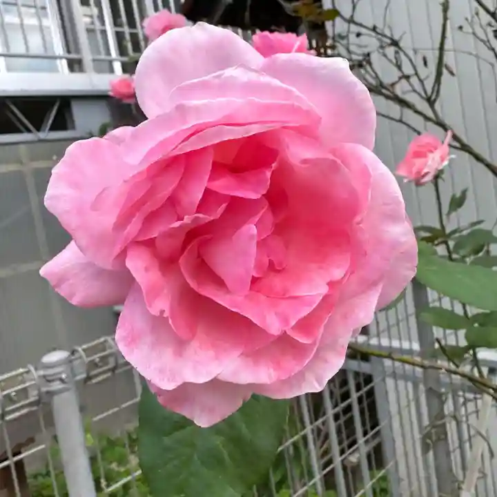 豊景神社(福島県)