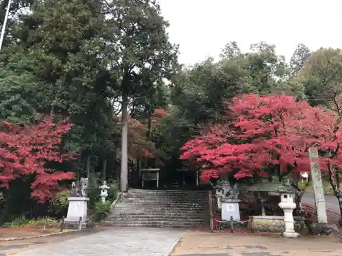 宇倍神社(鳥取県)
