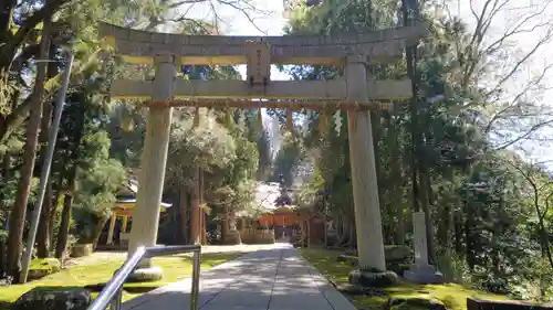 佐々牟志神社の鳥居