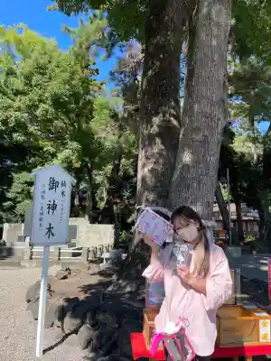 玉村八幡宮(群馬県)