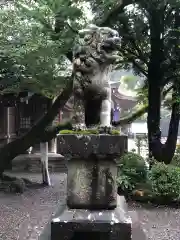 砥鹿神社（里宮）の狛犬