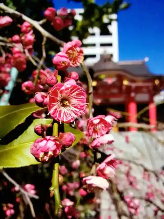 成子天神社(東京都)