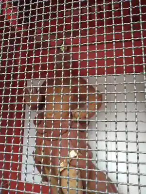 長勝寺(波切不動院)の像