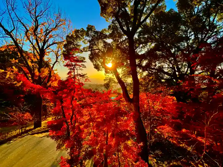 宝満宮竈門神社の自然