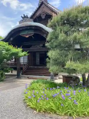 得浄明院(善光寺別院)の本殿・本堂