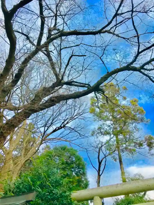 三所神社の自然
