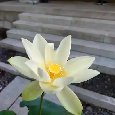 三澤寺(長野県)