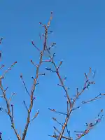 一乗院(和歌山県)