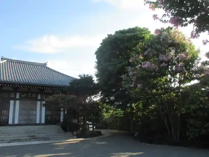 長谷寺(神奈川県)