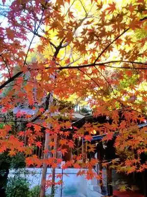 乃木神社(東京都)