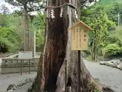 丹生神社（丹生川上神社中社摂社)(奈良県)