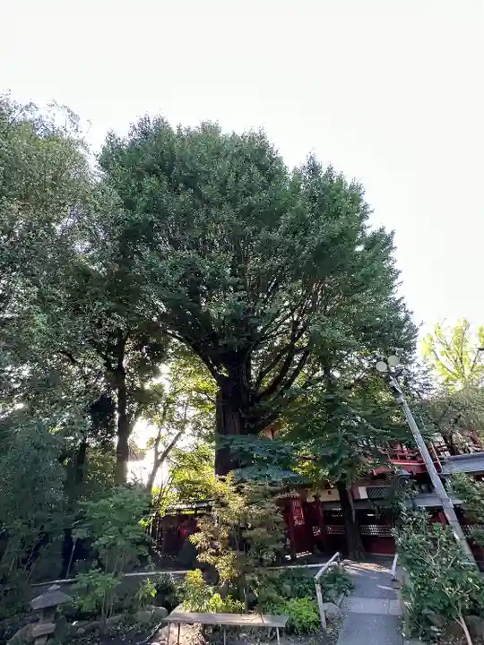 秩父神社(埼玉県)